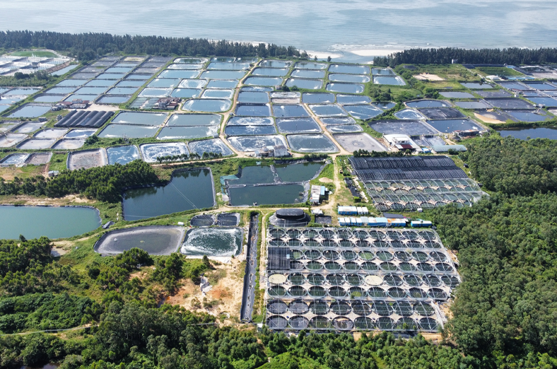 设计与施工图预算编制工作