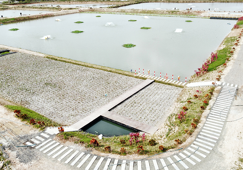 徐院士团队为项目提供技术支持