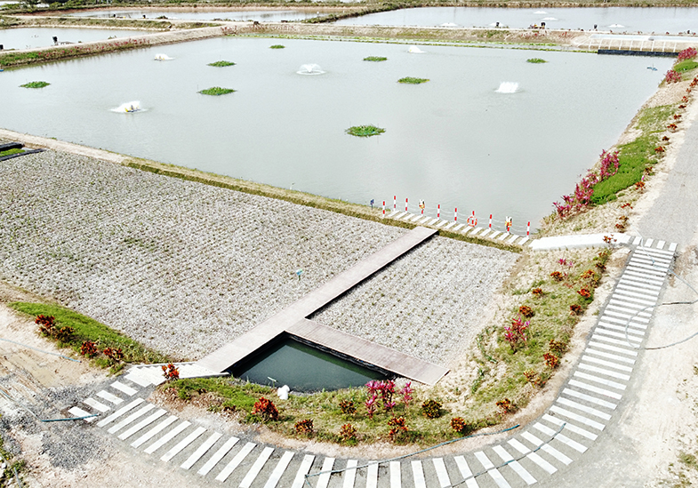 海南文昌水产养殖场尾水治理工程